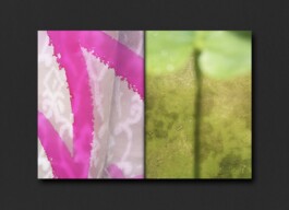 Ausschnitt aus einer Doppelseite eines Künstlerbuches. Links eine Detailaufnahme eines Fensters, welches mit pinkem Graffiti besprüht ist, dahinter ist ein Vorhang zu sehen. Rechts die Aufnahme eines von Moos bedeckten Bodens. 