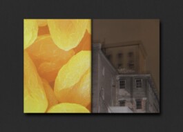 Ausschnitt aus einer Doppelseite eines Künstlerbuches. Link eine Detailaufnahme von orangenem, getrockneten Früchten. Links eine etwas verschwommene Aufnahme eines alten Fabriksgebäudes, in der Nacht fotografiert. 