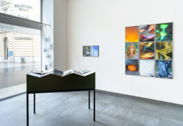 Eine moderne Galerie mit grauen Bodenfliesen zeigt einen schwarzen Ausstellungstisch mit offenen Büchern, ein Raster aus bunten Fotografien an der Wand und große Fenster, die den Blick auf eine Stadtstraße draußen freigeben. 